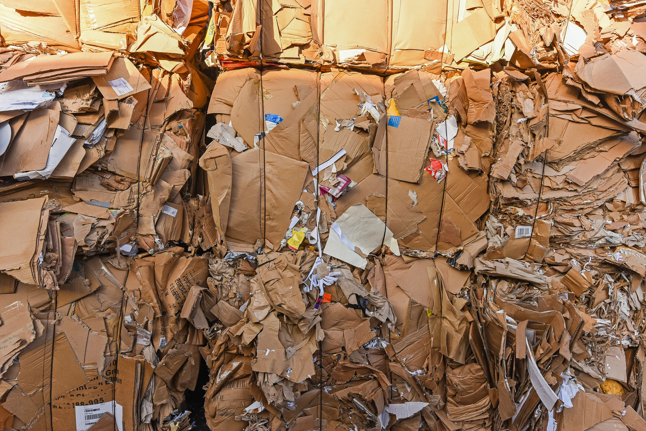 cardboard and paper recycling
