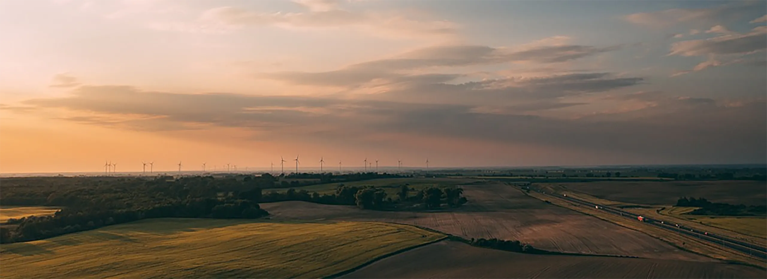 sustainability and the circular economy