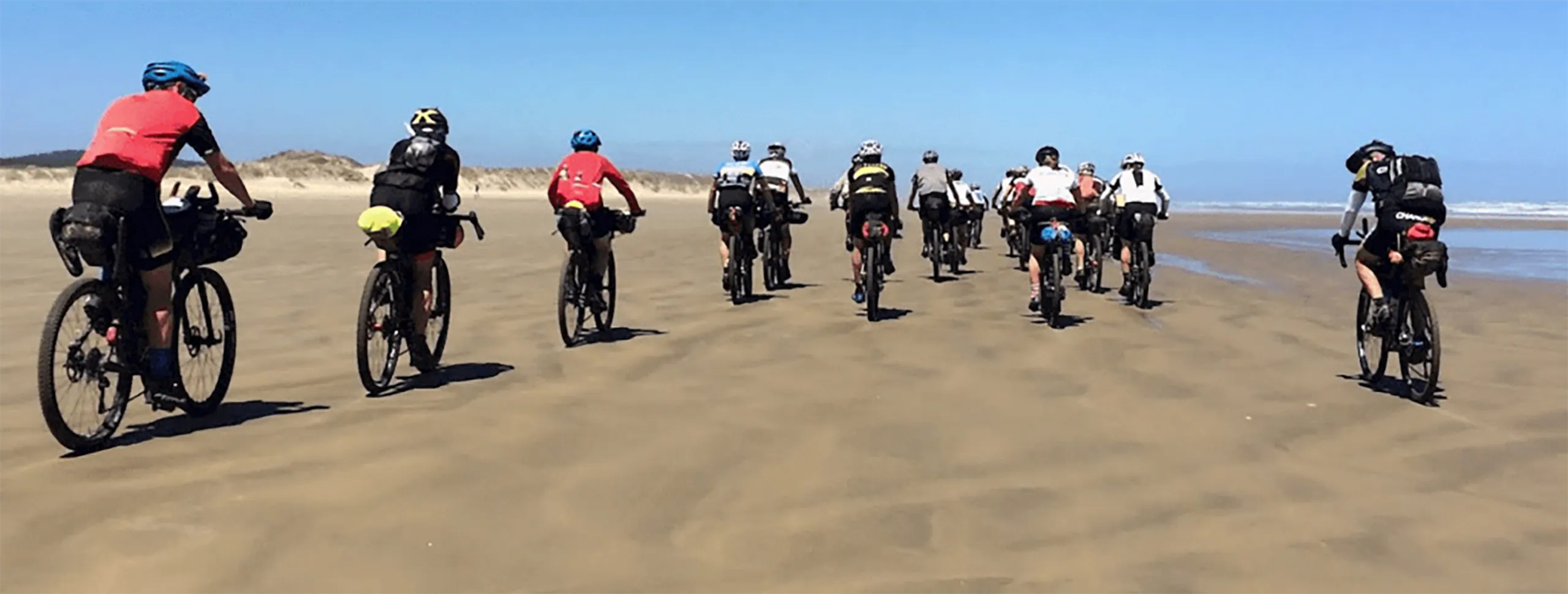 cycling & recycling NZ