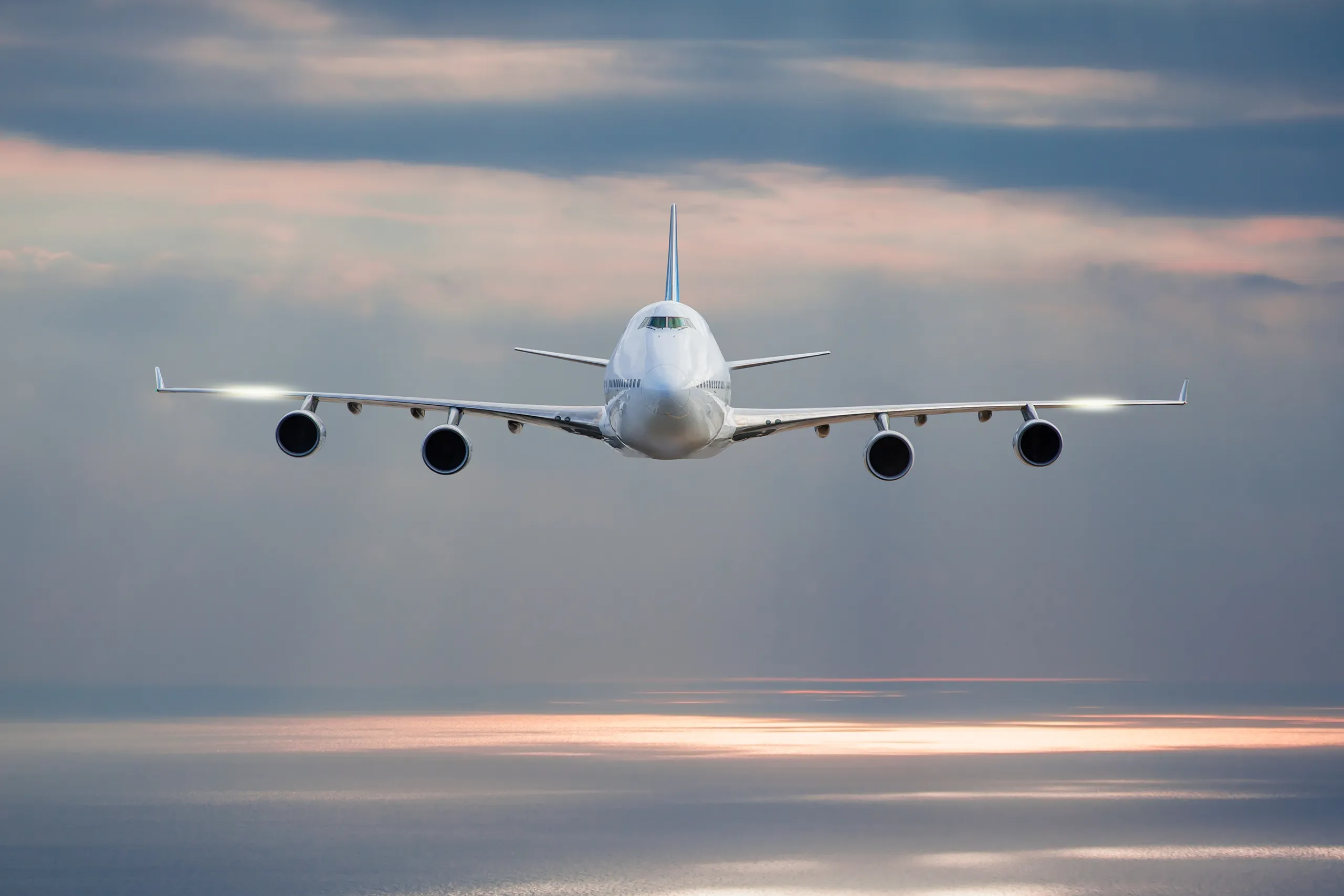 airport and travel sector