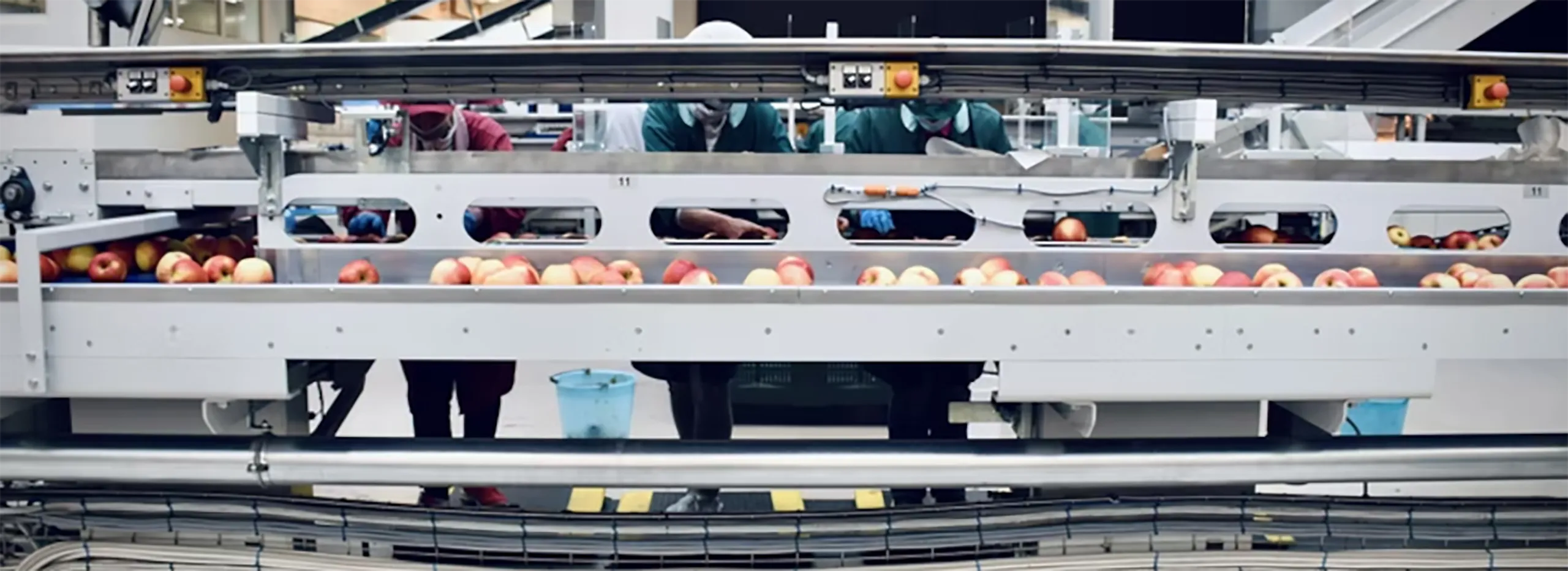 contaminated food waste