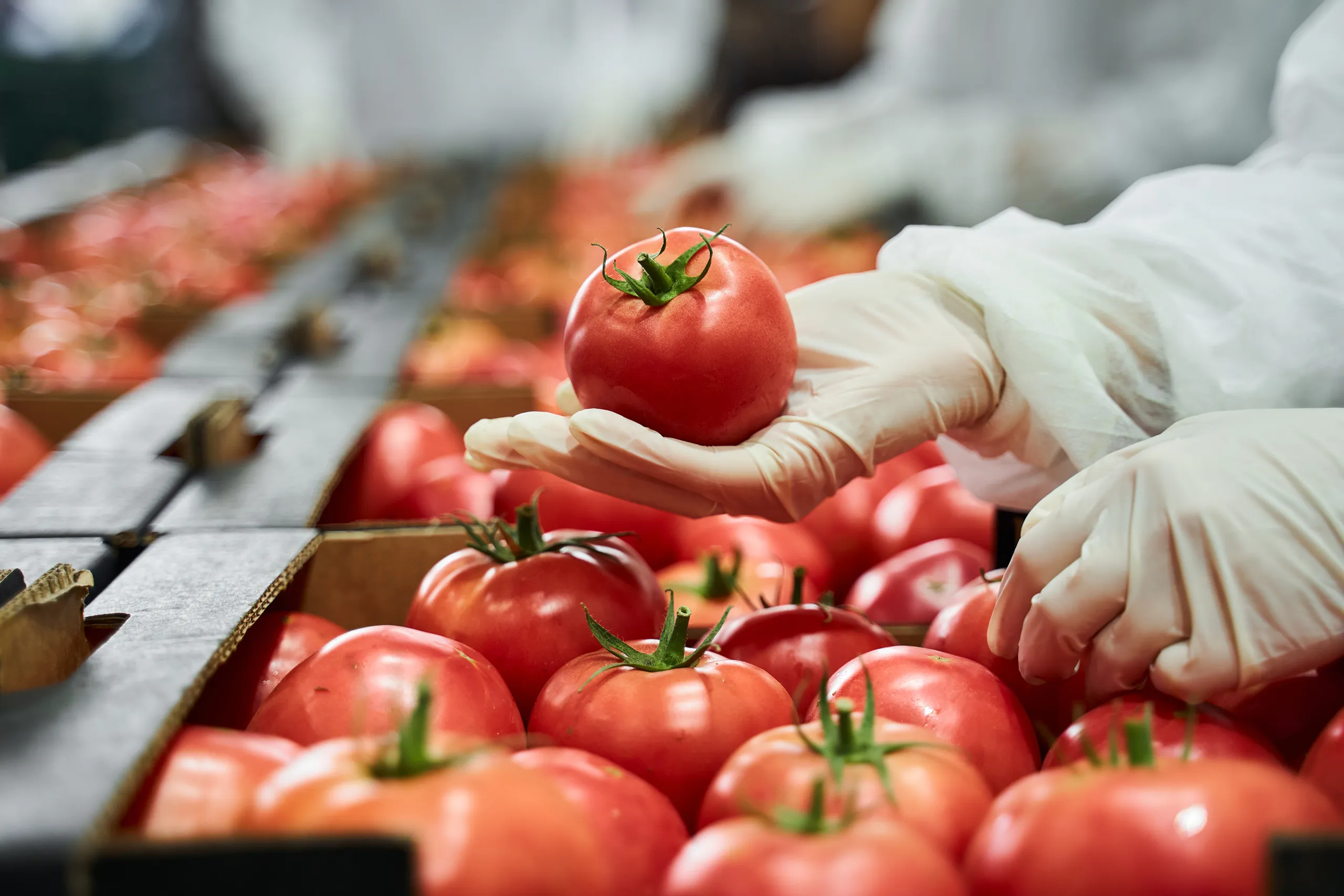 food industry waste disposal