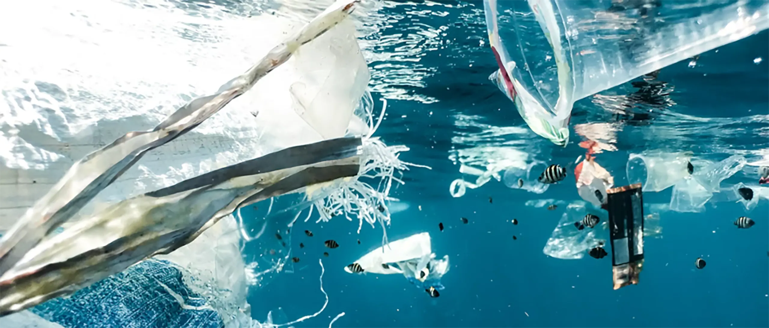plastic waste in the ocean