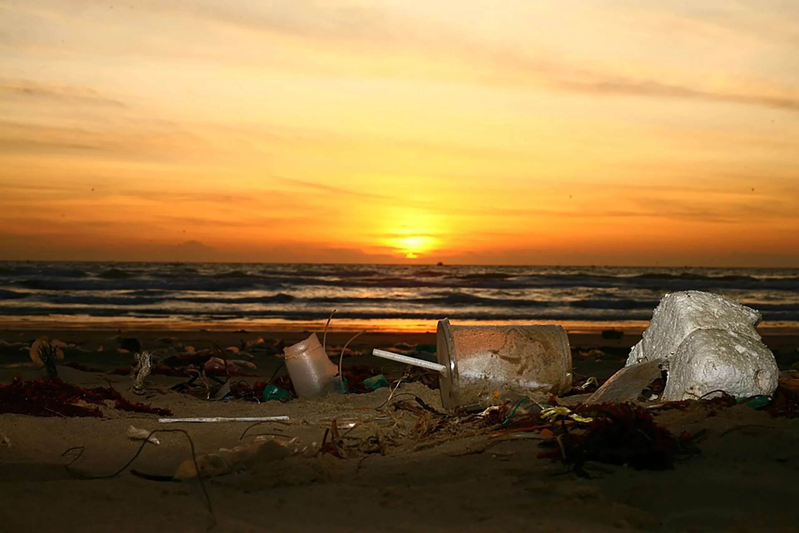 Types of Plastic Recycling