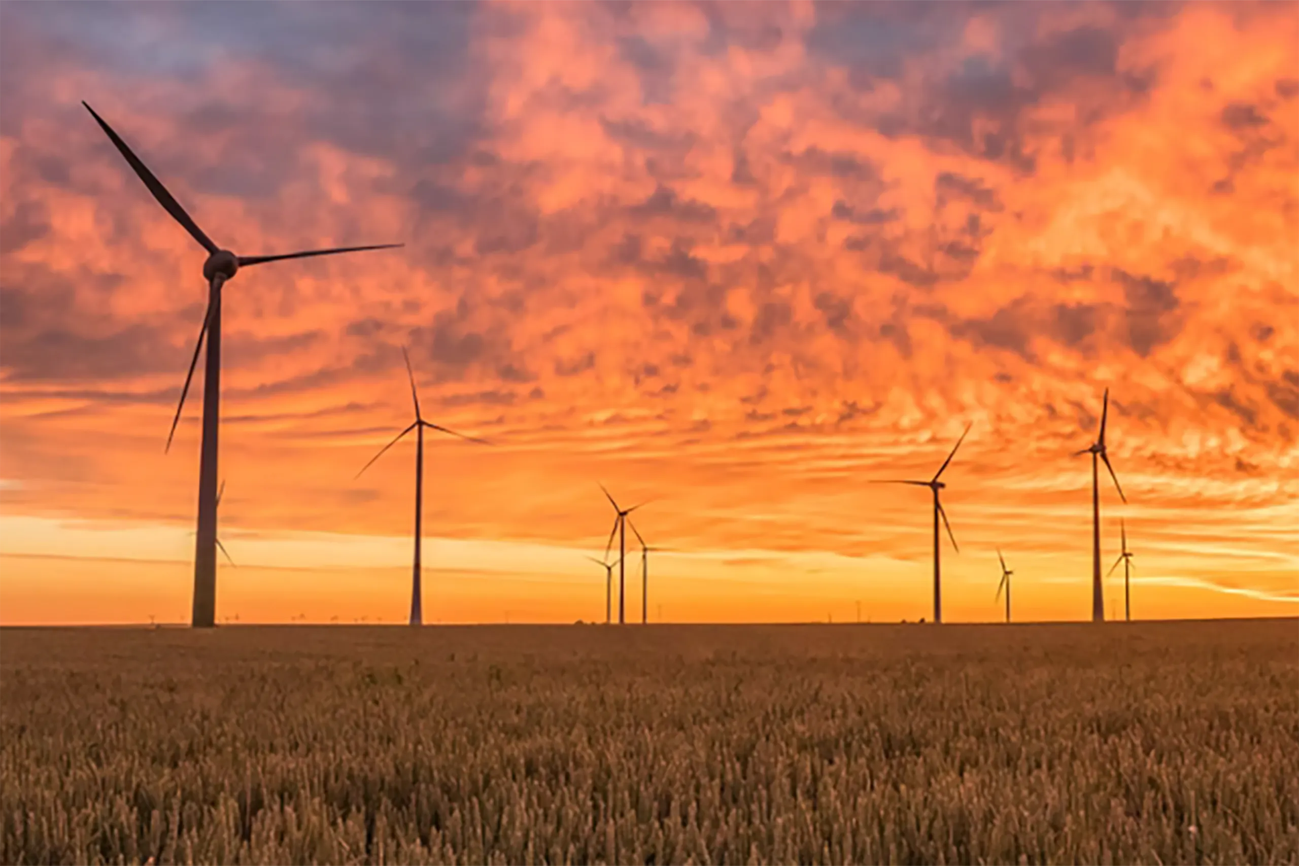 Business and climate change