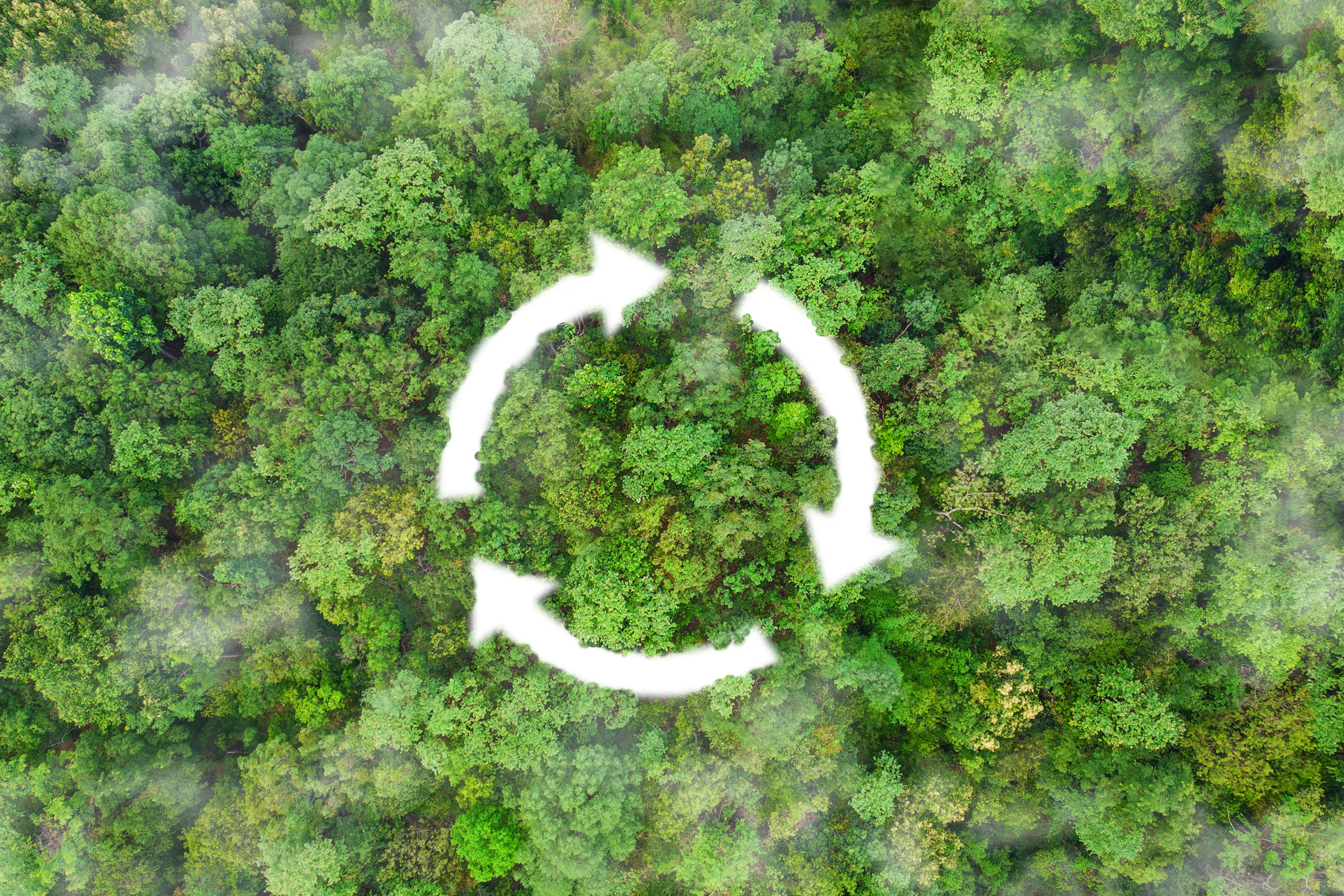 circular economy at Agecko