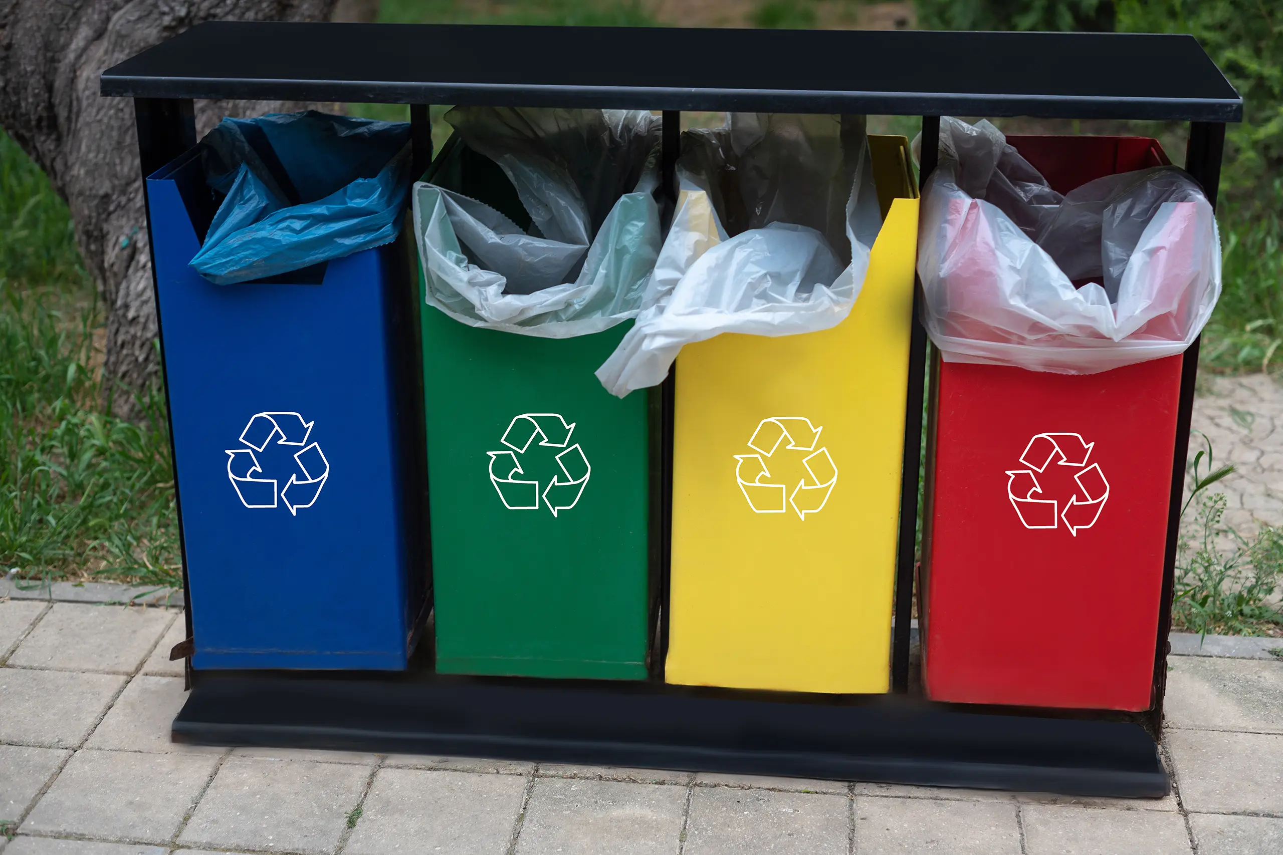 school-waste-management